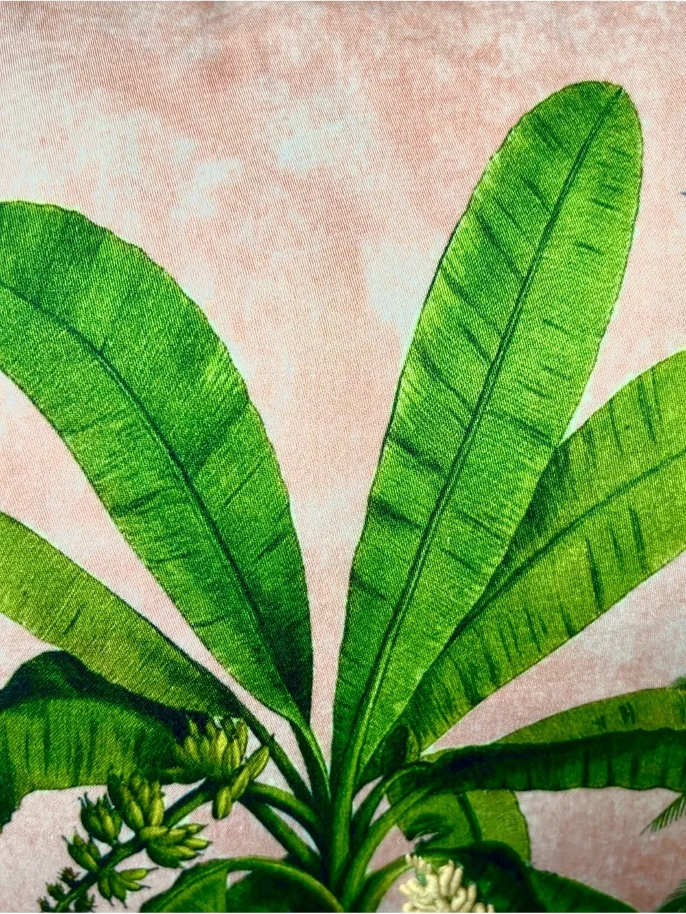 N/A vibrant tropical